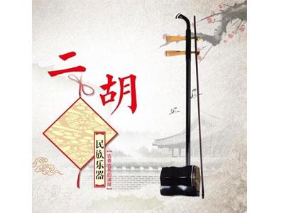 招聘临沧二胡家教老师